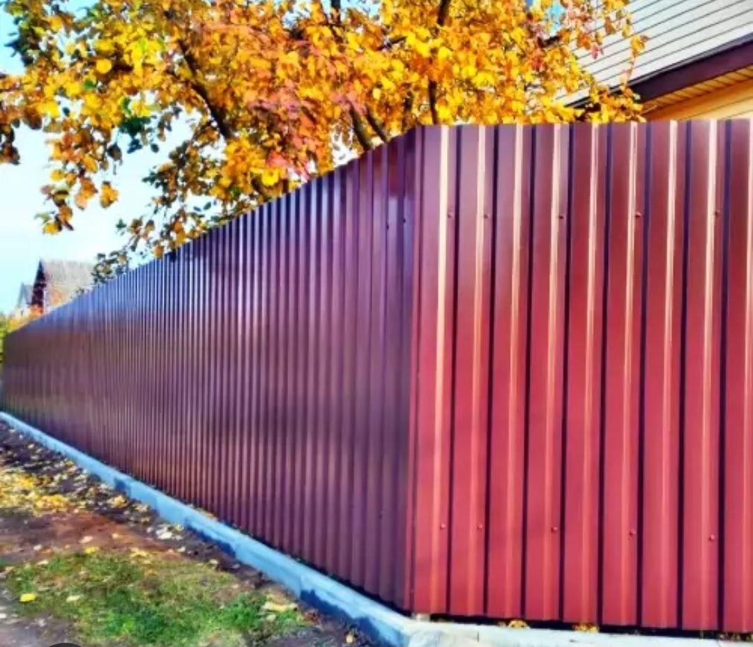 photo_2026-03-15_15-48-46